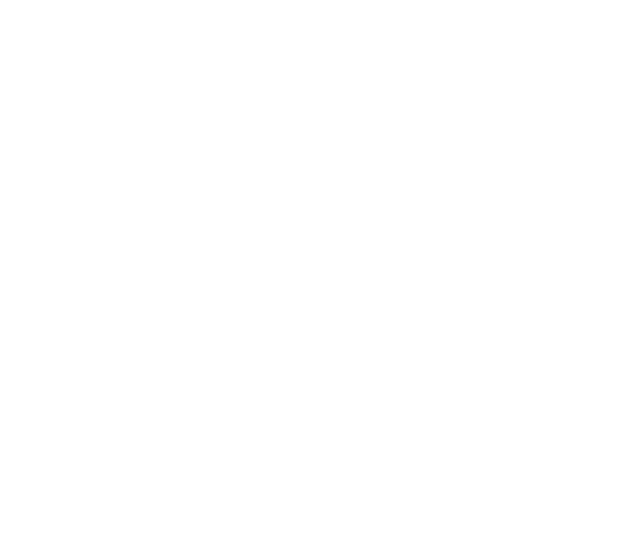 Roles icon