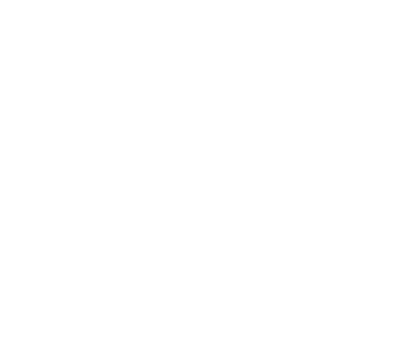 Training Icon